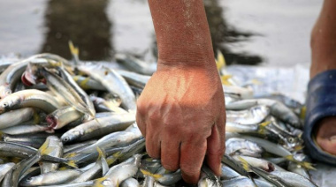 Siguen en marzo las bajadas náuticas con venta directa de pescado artesanal