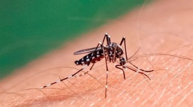 Alerta Dengue: Histórico brote en todo el país con 96 muertes