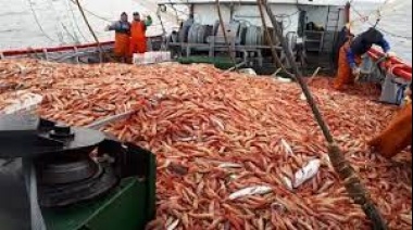 Cámaras pesqueras se oponen al Fondo Ambiental Pesquero de Chubut