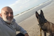 El robo de un perro terapéutico en San Bernardo conmueve a la comunidad