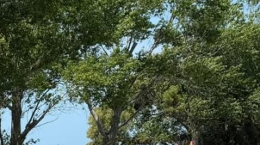 Nuevo despiste en la Ruta 11 reaviva la preocupación por los siniestros viales en el Partido de La Costa