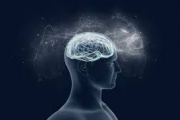 Los 15 sentidos del ser humano de acuerdo a la ciencia espiritual