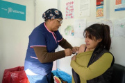 El Ministerio de Salud bonaerense advirtió que la vacunación contra el dengue sigue siendo baja