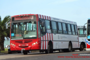 En Mar del Plata los colectivos no serán gratuitos el domingo