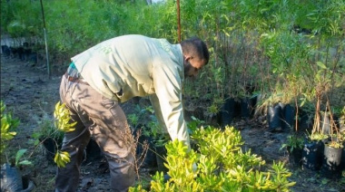 La Costa impulsa el Plan de Arbolado Público para fortalecer la identidad costera y el cuidado ambiental