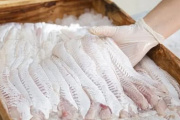 El Mercado Itinerante de la Pesca Artesanal llega esta semana a San Clemente del Tuyú y Mar de Ajó
