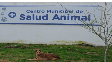 Atención primaria en el Centro Municipal de Salud Animal de Mar del Tuyú