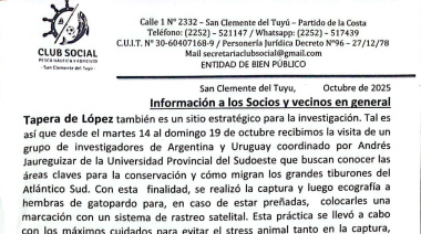 Investigadores estudian tiburones en Tapera de López: piden colaboración a los pescadores y vecinos