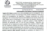 Investigadores estudian tiburones en Tapera de López: piden colaboración a los pescadores y vecinos