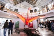 Hallaron en Mendoza restos del "Dragón de la muerte": el pterosaurio más grande de sudamerica