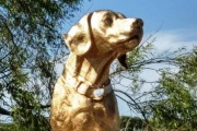 Destrucción del monumento al perro Rubio en Mar del Tuyú