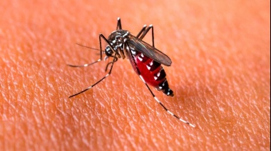 Incremento de casos de dengue en La Costa: llamado a la prevención