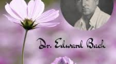 Eduardo Bach, un médico que legó grandes conocimientos acerca de las propiedades curativas de las plantas