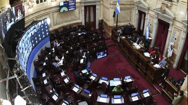 Comienzan a debatir en el Senado el proyecto sobre la contribución de las grandes fortunas