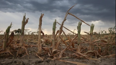 Fin de la sequía: culmina el fenómeno La Niña y llegan las primeras precipitaciones