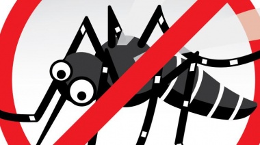 La Costa refuerza las acciones para prevenir el dengue