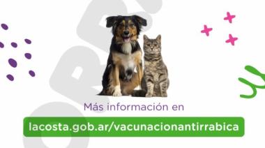 La campaña de vacunación antirrábica para perros y gatos continúa en veterinarias adheridas y en los barrios