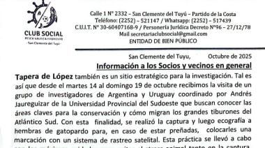 Investigadores estudian tiburones en Tapera de López: piden colaboración a los pescadores y vecinos