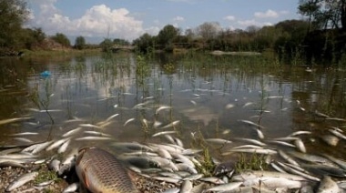 Preocupación en Junín por la sequía: incendios de pastizales y muerte de peces