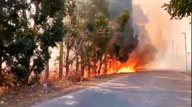 Seis provincias continúan con incendios forestales activos