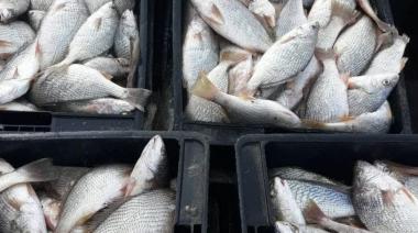 Se abre reempadronamiento para la primera venta de frutos de mar