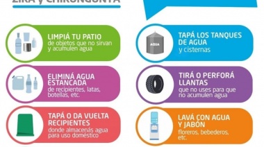 Villa Gesell: Se detectaron larvas pertenecientes al mosquito Aedes Aegipti