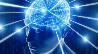 El triple cerebro: reptiles, sentimientos y razones