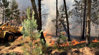 40 hectáreas de bosques afectadas por un incendio en Pinamar