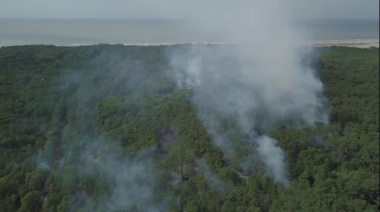 Casi una tragedia: confirman que fue intencional el incendio en la Reserva Natural de Cariló