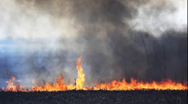 Despliegan más brigadistas y lanchas para combatir los incendios forestales en el delta del Paraná