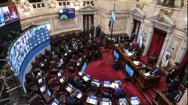 Senadores del Frente de Todos presentaron un proyecto para pagar deuda con dinero fugado