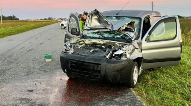 Alerta en Ruta 74: Dos Accidentes por animales sueltos en General Madariaga