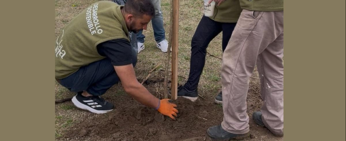 La Costa llega a los 1300 árboles plantados y avanza con una nueva etapa de forestación