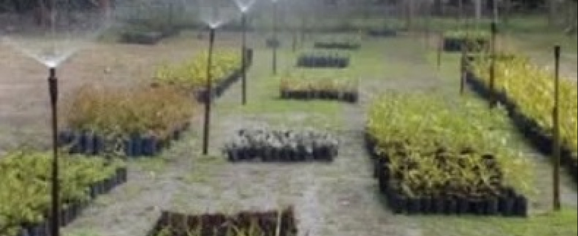 San Clemente suma un taller de compostaje con entrega de composteras