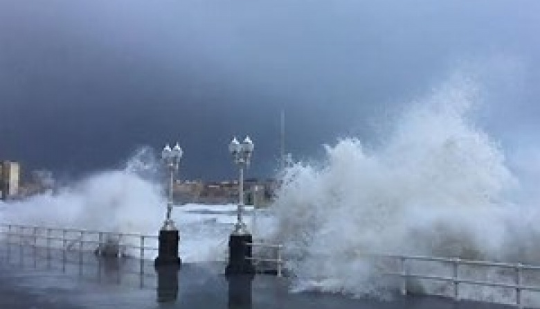 Temporal extremo en Mar del Plata: ráfagas de hasta 100 km/h, cierre del puerto y suspensión total de clases