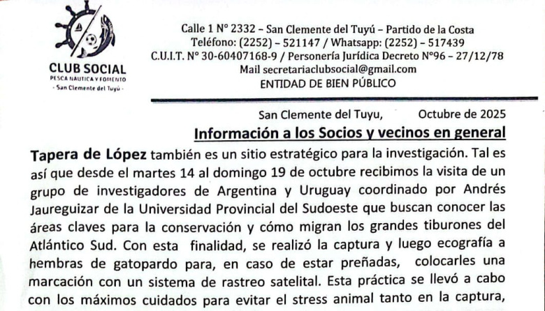 Investigadores estudian tiburones en Tapera de López: piden colaboración a los pescadores y vecinos