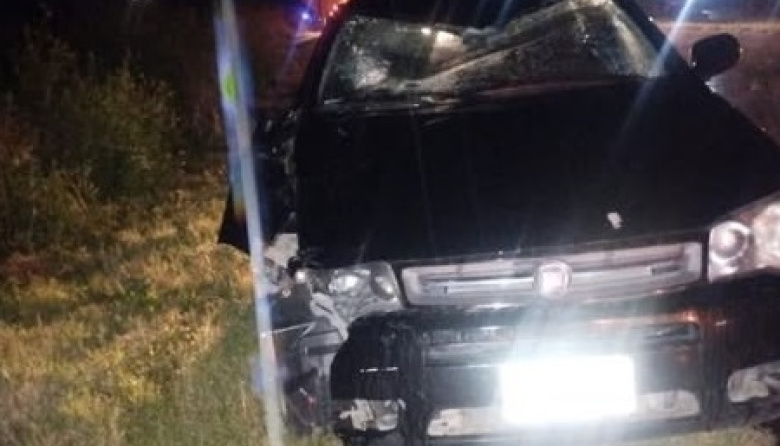 Chocó contra un caballo suelto en la Ruta 11 y se salvó de milagro