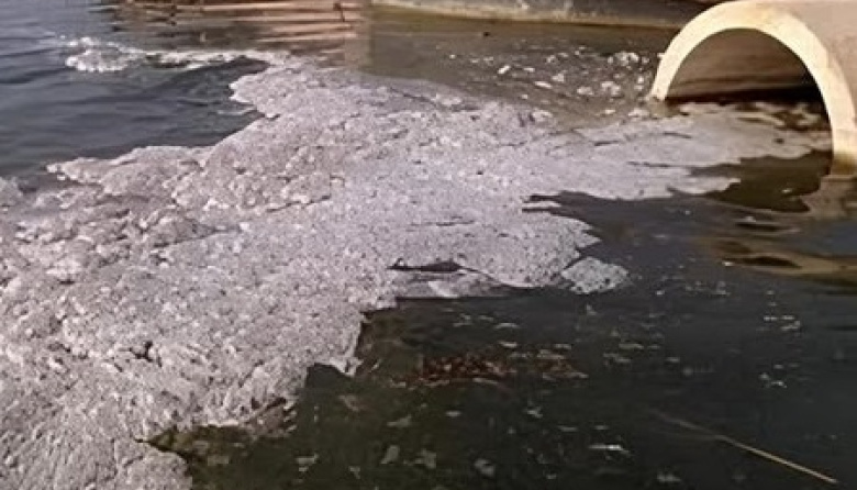 Detectan restos de medicamentos en el Río de la Plata y en ríos que desembocan en él