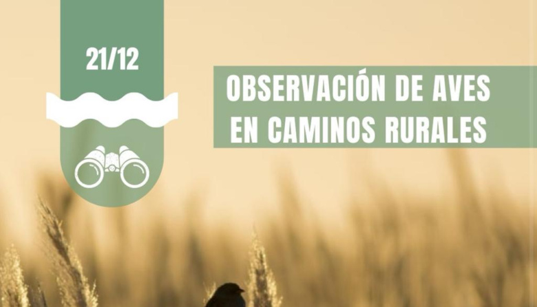 Observación de aves en los caminos rurales de General Lavalle