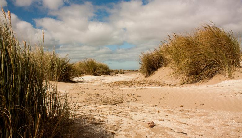 Ecoturismo y experiencias al aire libre: Anila Salvaje propone actividades en San Clemente del Tuyú