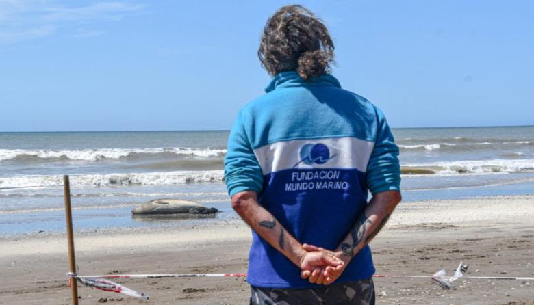 Guía para convivir con la fauna marina este verano