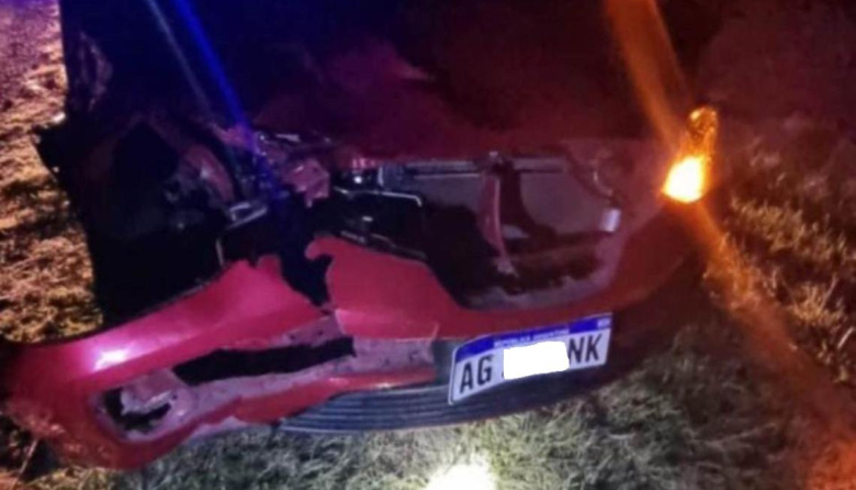 Choque contra un vacuno en la Ruta 2 dejó una menor herida en Dolores