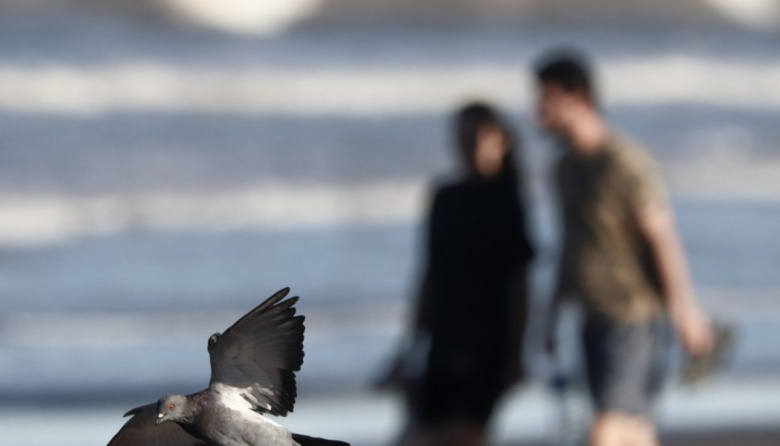 La Costa prepara una amplia agenda de actividades por Semana Santa y Malvinas