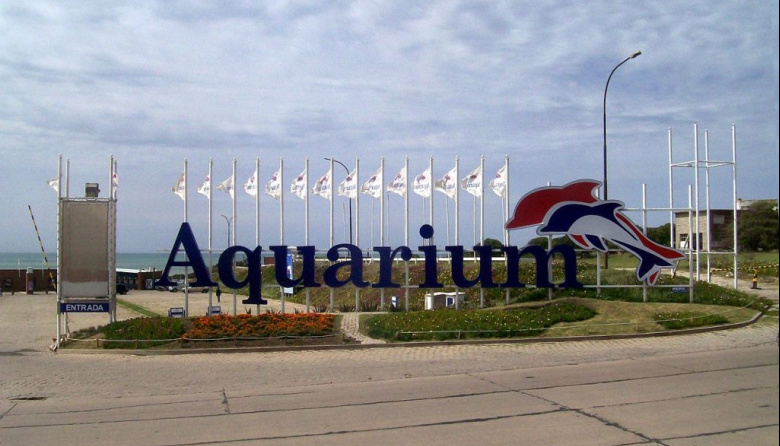 Quiebra del Aquarium: la Justicia deberá definir el destino de 66 animales que siguen en el predio