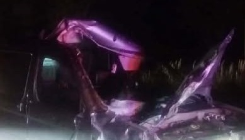 Una camioneta chocó contra un caballo suelto en la Ruta 11 y una persona resultó herida