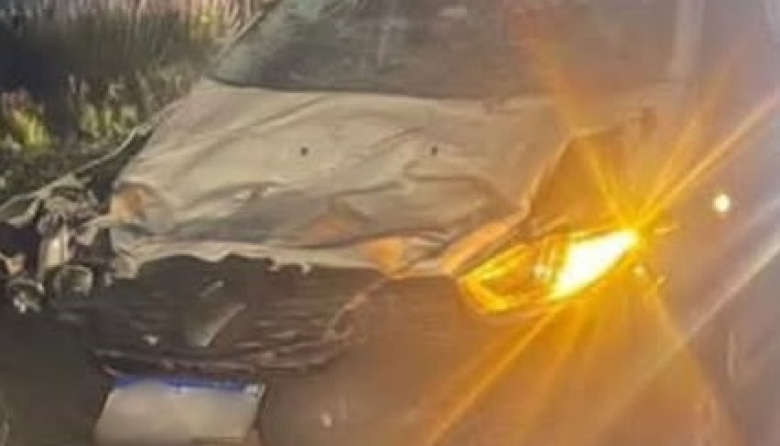 Otro choque contra un caballo en Ruta 11 en Mar de Ajó