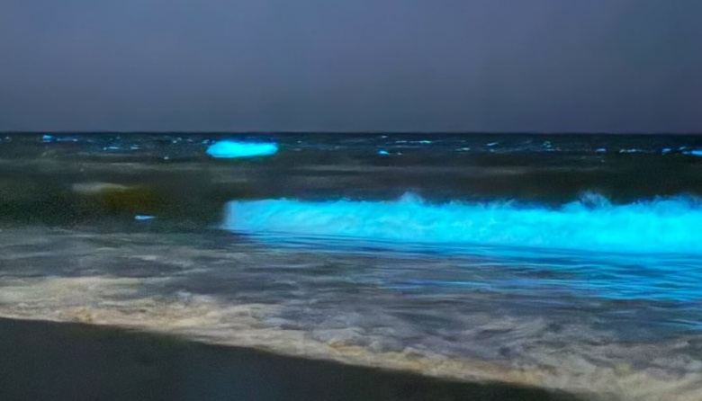 Las noctilucas iluminaron las playas y sorprendieron en San Bernardo
