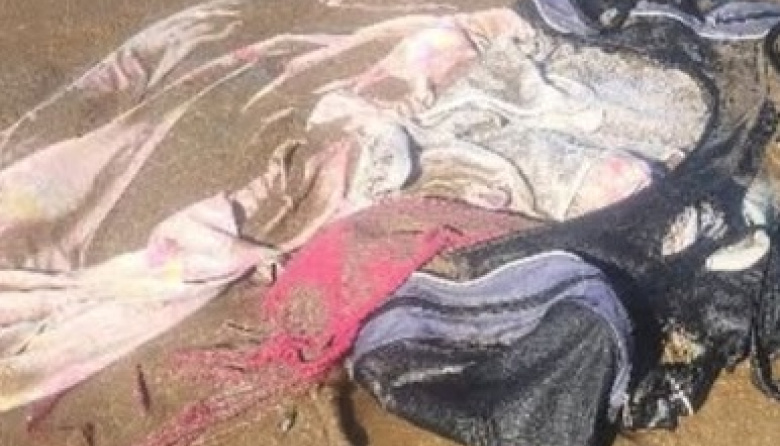 Buscan testigos tras el hallazgo de dos perros muertos dentro de un bolso en San Clemente