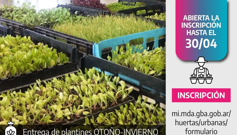 Impulsan la huerta urbana con entrega de plantines en la Provincia