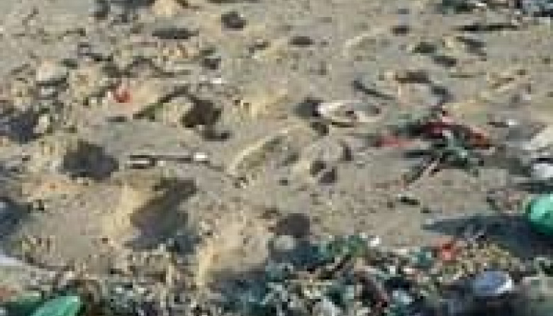 La histórica crecida del mar dejó las playas de Mar del Plata cubiertas de basura